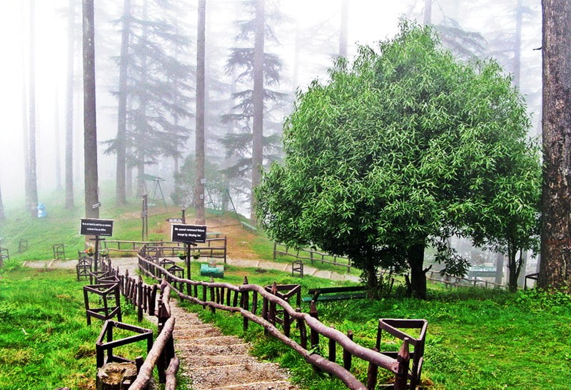 Dhanaulti_Eco_Park_in_Dhanaulti_yatra manager