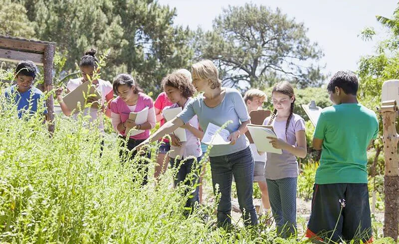 Education Tour Package