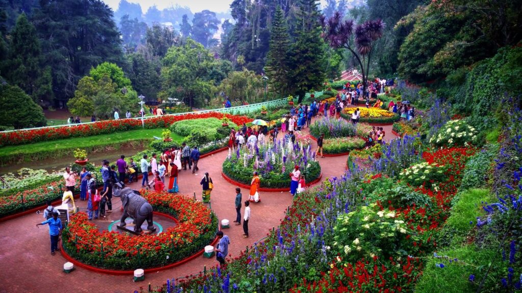 City Tour of Ooty