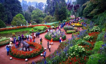 City Tour of Ooty