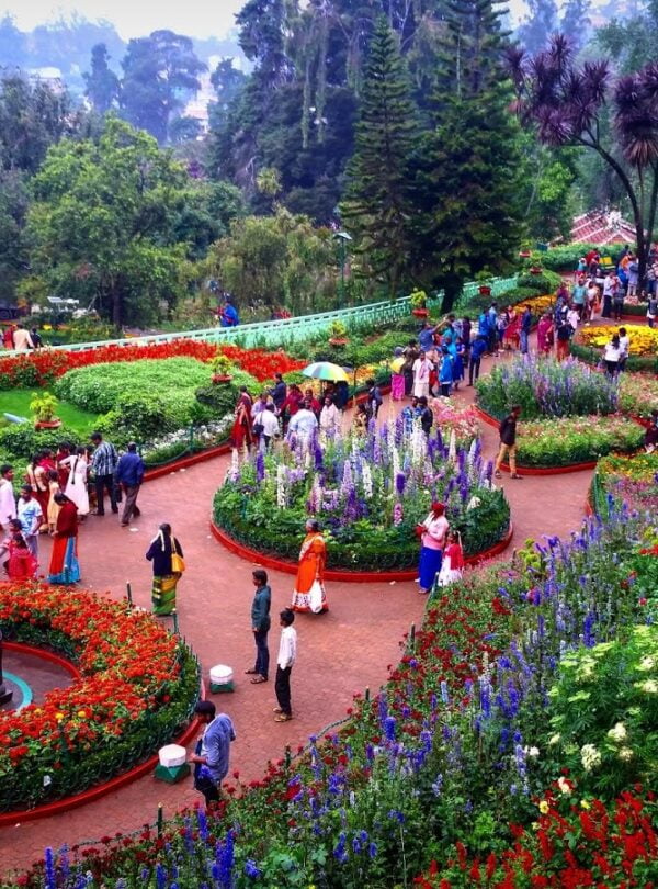 City Tour of Ooty