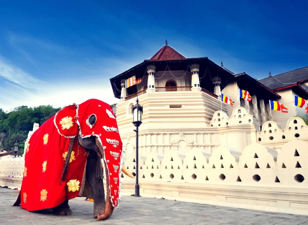 Kandy Sri Lanka