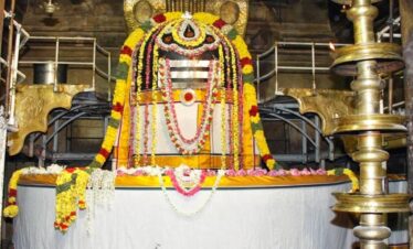 City Tour of Thanjavur