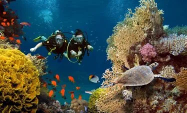 Maldives Tour Packages