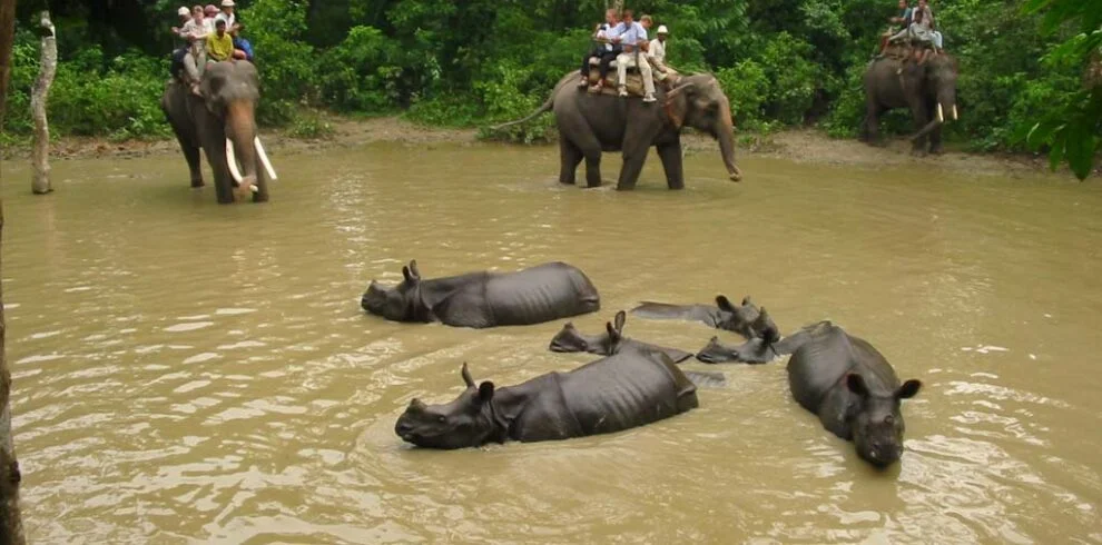 chitwan-national-park-bharatpur-nepal