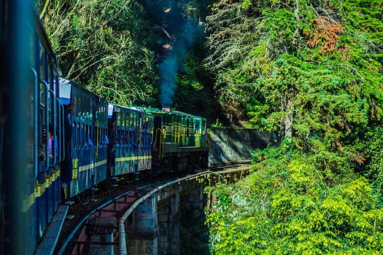 City Tour of Ooty
