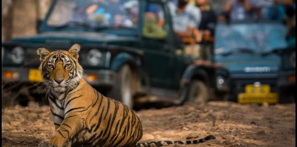 Jim corbett Uttarakhand