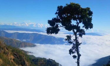 Wonderwood Corbett resort 1 Min Walk From GMNV