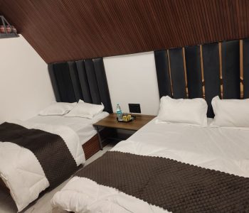 Green Lemon Resort Rishikesh 17